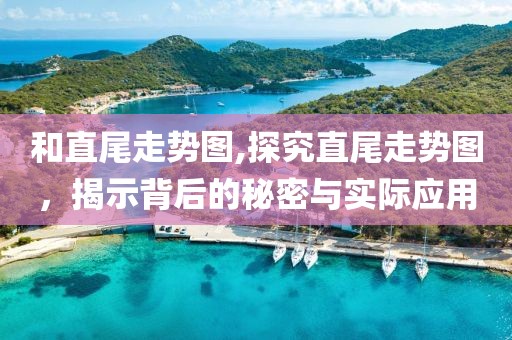 和直尾走势图,探究直尾走势图，揭示背后的秘密与实际应用