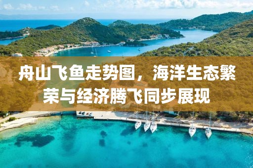 舟山飞鱼走势图，海洋生态繁荣与经济腾飞同步展现