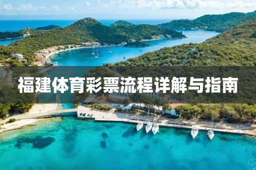 福建体育彩票流程详解与指南