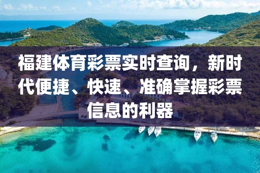 福建体育彩票实时查询，新时代便捷、快速、准确掌握彩票信息的利器