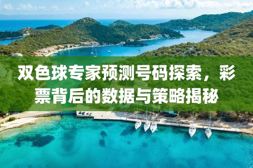 双色球专家预测号码探索，彩票背后的数据与策略揭秘