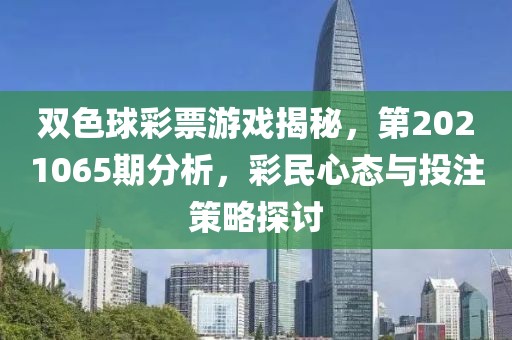 双色球彩票游戏揭秘，第2021065期分析，彩民心态与投注策略探讨