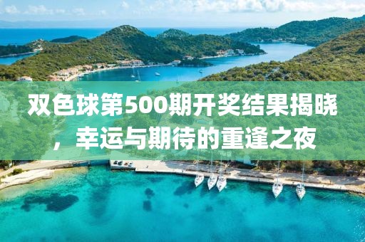 双色球第500期开奖结果揭晓，幸运与期待的重逢之夜